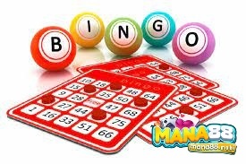 Bingo may mắn - Một số kinh nghiệm chơi hay tại mana88
