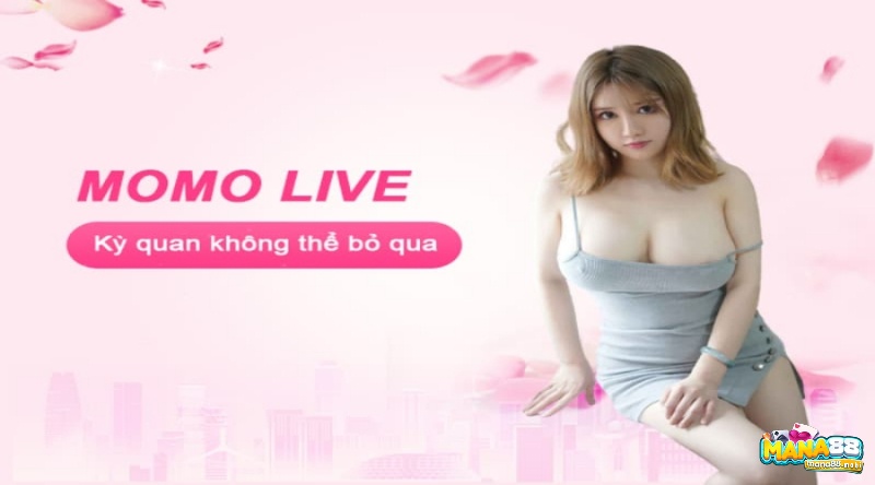 Momo live apk - Ứng dụng livestream số 1 hiện nay