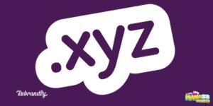 Zyz - 5 điều cần biết về tên miền anh em không nên bỏ qua