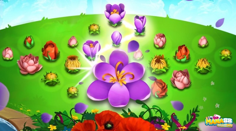 Mục đích làm cho hoa khác nở trong game hoa hong Blossom Blast Saga