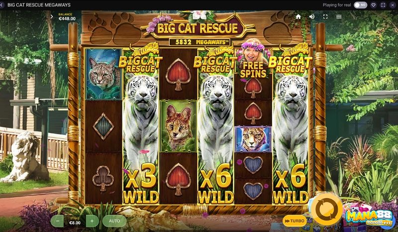 WILD trong Big Cat Rescue Megaways là tính năng của White Tiger Mega Wilds
