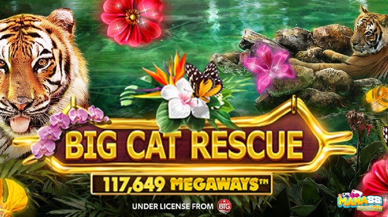 Big Cat Rescue Megaways: Game slot cho tín đồ yêu mèo