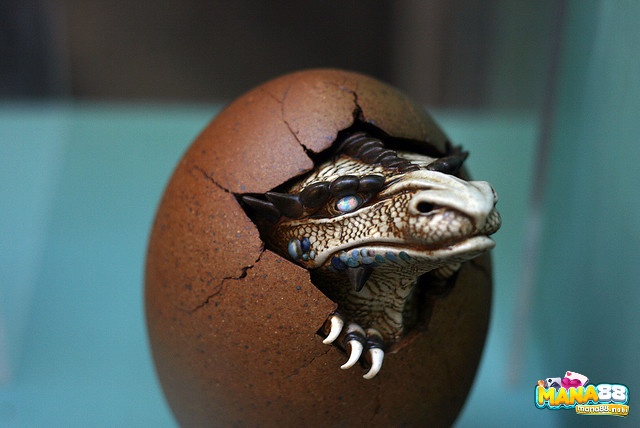 Hình ảnh rồng nở từ quả trứng tạo cảm giác bí ẩn trong trò chơi
