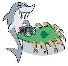 Fish trong Poker là thế nào? Dấu hiệu nhận ra người chơi kém