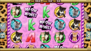 Meow Money: Review slot game về các chú mèo đáng yêu