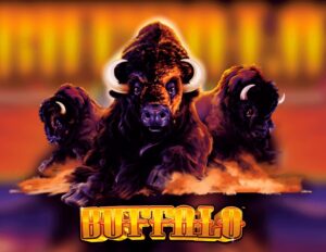 Buffalo – Game slot Aristocrat được nhiều người ưa chuộng