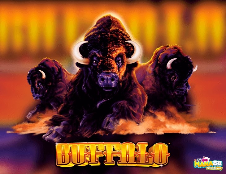 Buffalo Slots là game được nhiều người yêu thích